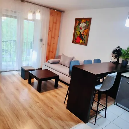 Podmiejska 公寓 Jastrzębie Zdrój